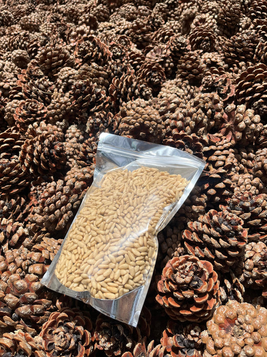 Premium Pine Nuts