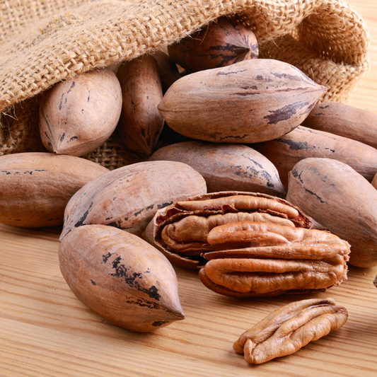 Pecan